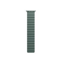 Accesorio Switcheasy Pulsera Silicone Magnetic Apple Watch 38 / 40 / 41 Mm Verde Pino - MUNDO ACCESORIOS (B2C)